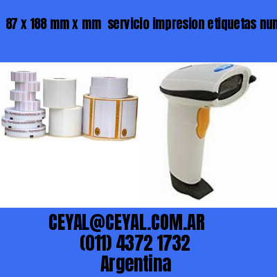 87 x 188 mm x mm  servicio impresion etiquetas numeradas