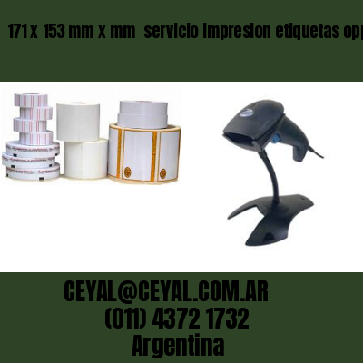 171 x 153 mm x mm  servicio impresion etiquetas opp