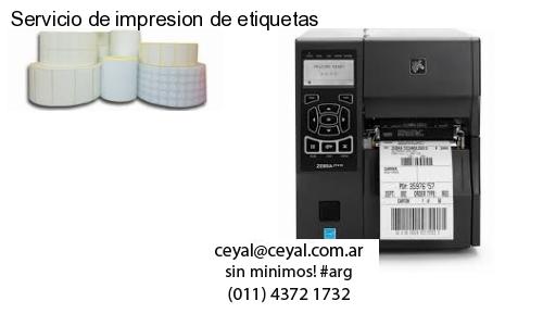 Zebra designer zebra lp2824