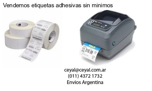 Venta de zebra de escritorio