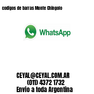 codigos de barras Monte Chingolo