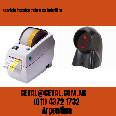 servicio tecnico zebra en Caballito