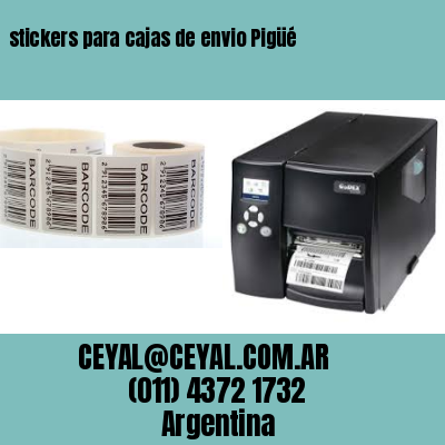 stickers para cajas de envio Pigüé