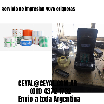 Servicio de impresion 4075 etiquetas