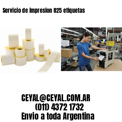 Servicio de impresion 825 etiquetas