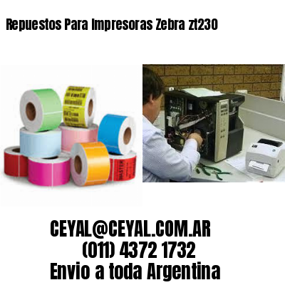 Repuestos Para Impresoras Zebra zt230