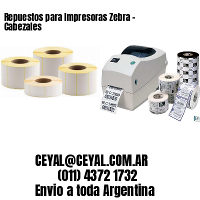 Repuestos para Impresoras Zebra – Cabezales