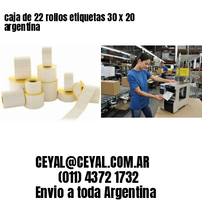 caja de 22 rollos etiquetas 30 x 20 argentina