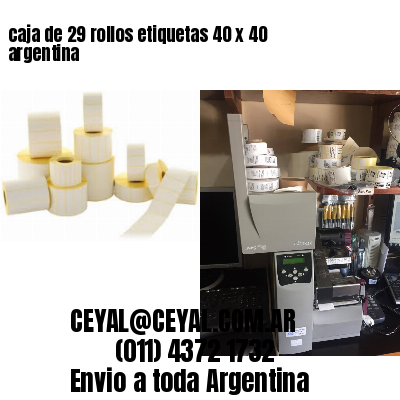 caja de 29 rollos etiquetas 40 x 40 argentina