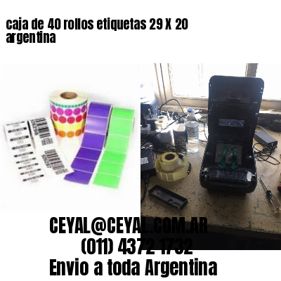 caja de 40 rollos etiquetas 29 X 20 argentina