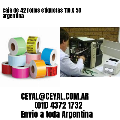 caja de 42 rollos etiquetas 110 X 50 argentina