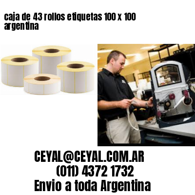 caja de 43 rollos etiquetas 100 x 100 argentina