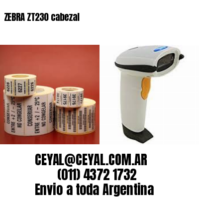 ZEBRA ZT230 cabezal
