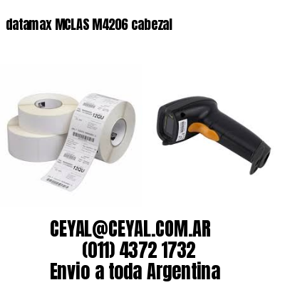 datamax MCLAS M4206 cabezal