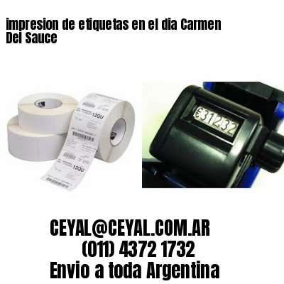 impresion de etiquetas en el dia Carmen Del Sauce