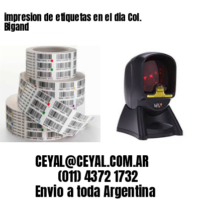 impresion de etiquetas en el dia Col. Bigand