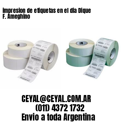 impresion de etiquetas en el dia Dique F. Ameghino