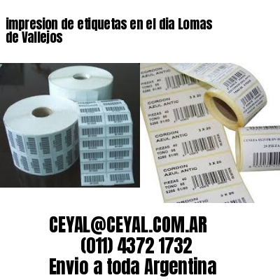 impresion de etiquetas en el dia Lomas de Vallejos