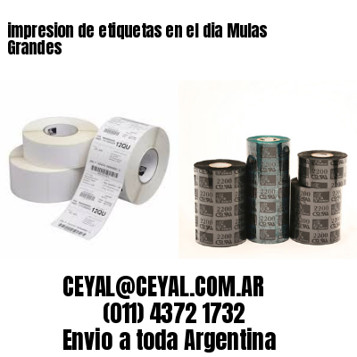 impresion de etiquetas en el dia Mulas Grandes