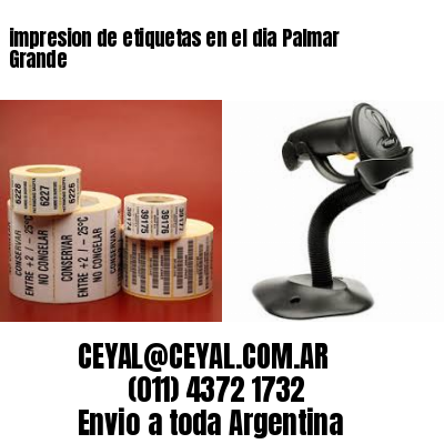 impresion de etiquetas en el dia Palmar Grande