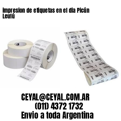 impresion de etiquetas en el dia Picún Leufú