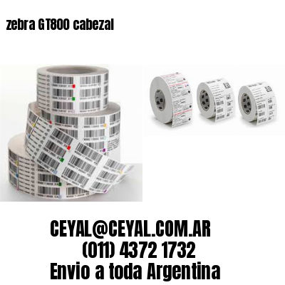 zebra GT800 cabezal