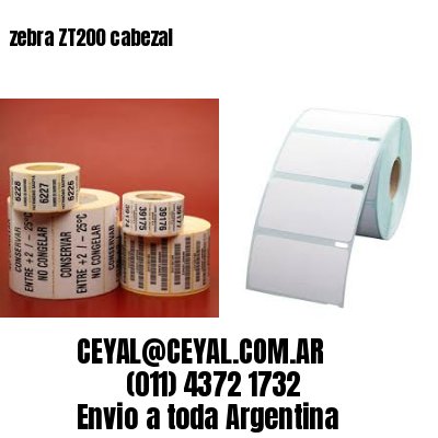 zebra ZT200 cabezal