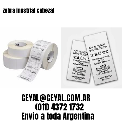 zebra inustrial cabezal