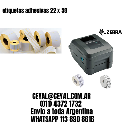 etiquetas adhesivas 22 x 58