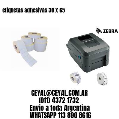 etiquetas adhesivas 30 x 65