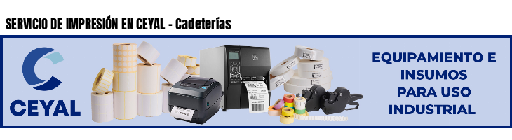 SERVICIO DE IMPRESIÓN EN CEYAL - Cadeterías