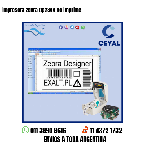 impresora zebra tlp2844 no imprime