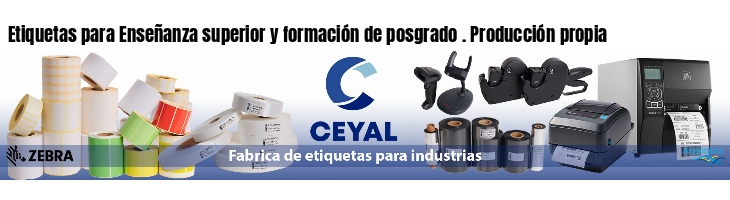 Etiquetas para Enseñanza superior y formación de posgrado . Producción propia