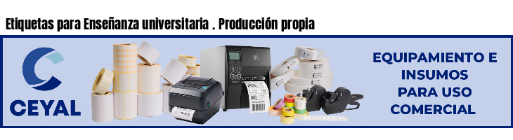 Etiquetas para Enseñanza universitaria . Producción propia