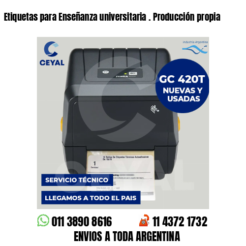 Etiquetas para Enseñanza universitaria . Producción propia