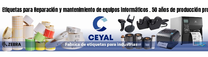 Etiquetas para Reparación y mantenimiento de equipos informáticos . 50 años de producción propia