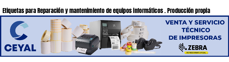 Etiquetas para Reparación y mantenimiento de equipos informáticos . Producción propia
