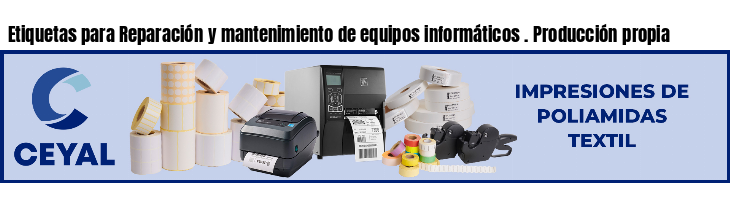 Etiquetas para Reparación y mantenimiento de equipos informáticos . Producción propia