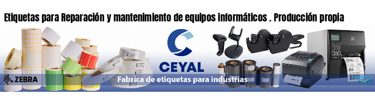 Etiquetas para Reparación y mantenimiento de equipos informáticos . Producción propia