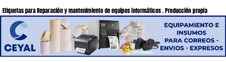 Etiquetas para Reparación y mantenimiento de equipos informáticos . Producción propia