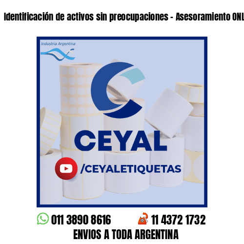 Identificación de activos sin preocupaciones - Asesoramiento ONLINE