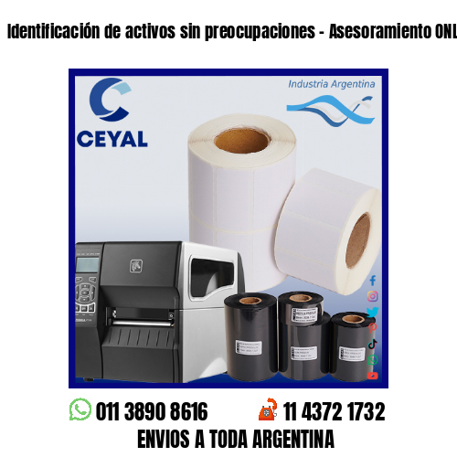 Identificación de activos sin preocupaciones – Asesoramiento ONLINE
