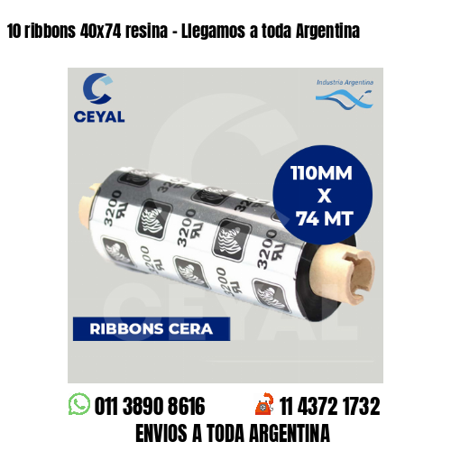 10 ribbons 40×74 resina – Llegamos a toda Argentina
