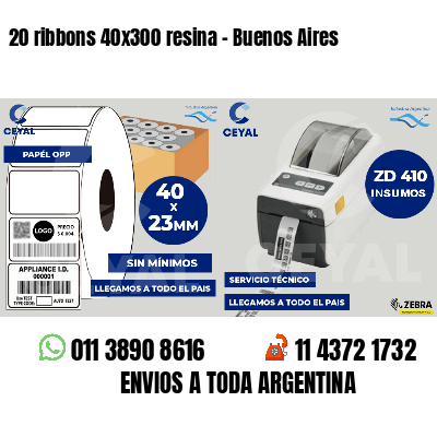 20 ribbons 40x300 resina - Buenos Aires