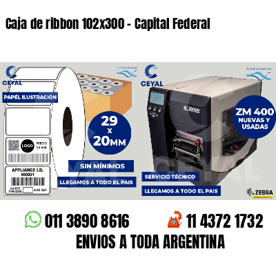 Caja de ribbon 102x300 - Capital Federal