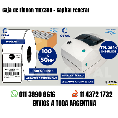 Caja de ribbon 110x300 - Capital Federal