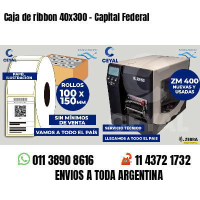 Caja de ribbon 40x300 - Capital Federal