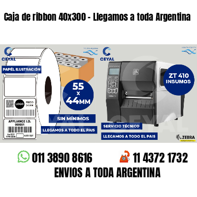 Caja de ribbon 40x300 - Llegamos a toda Argentina