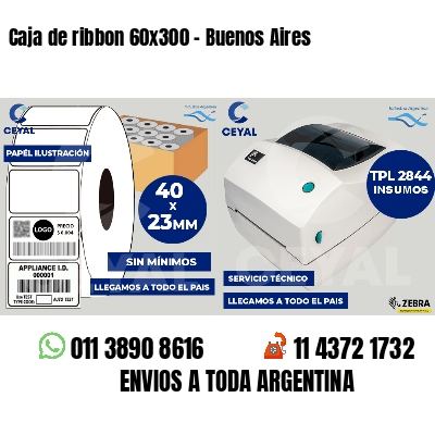 Caja de ribbon 60x300 - Buenos Aires