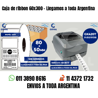 Caja de ribbon 60x300 - Llegamos a toda Argentina